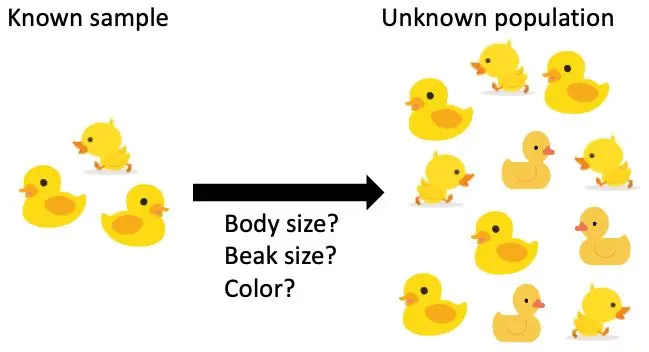 when to use hypothesis testing in machine learning